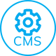CMS Development python developer Mumbai