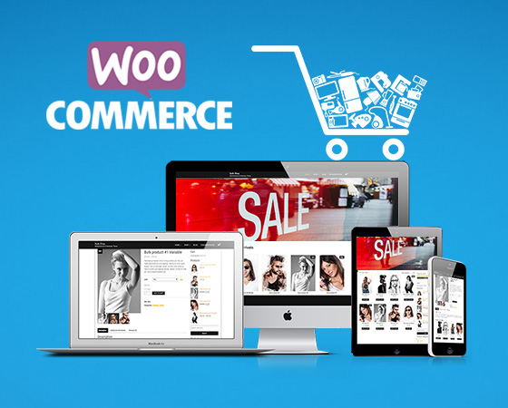 Ecommerce software development company in mumbai