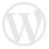 Best WordPress Developer in Mumbai