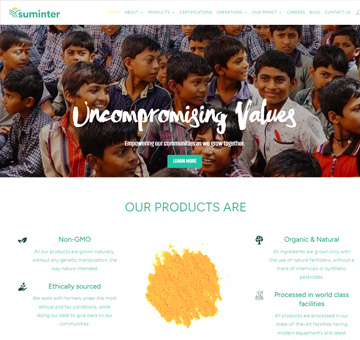 Webiste Designers in Andheri