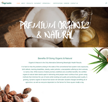 Hire Web Developers India